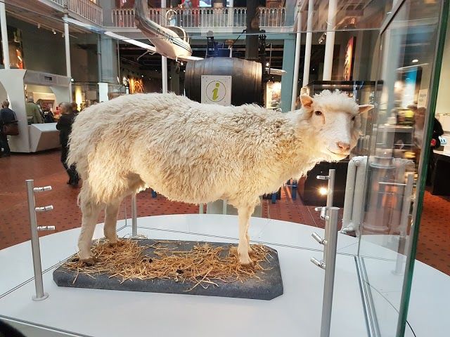 İskoçya Ulusal Müzesi